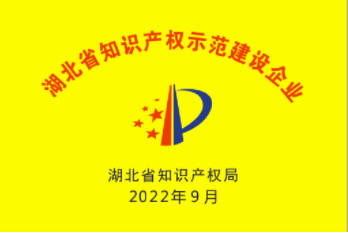 湖北省知识产权示范建设企业 