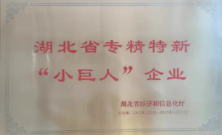 Hubei Provincial SRDI “Little Giant” Enterprise